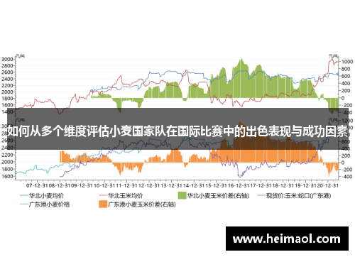 如何从多个维度评估小麦国家队在国际比赛中的出色表现与成功因素