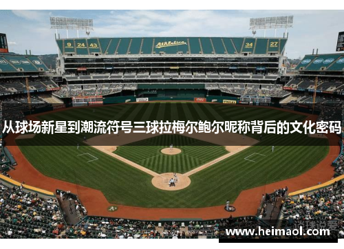 从球场新星到潮流符号三球拉梅尔鲍尔昵称背后的文化密码